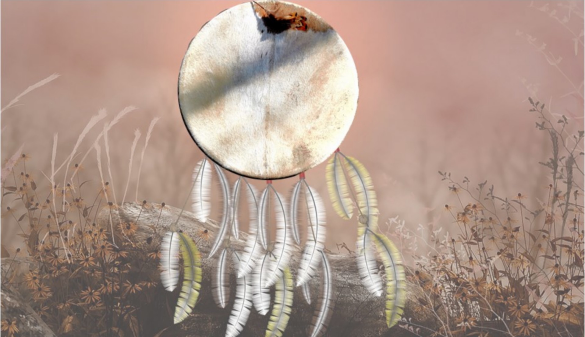 Cercles de Tambours