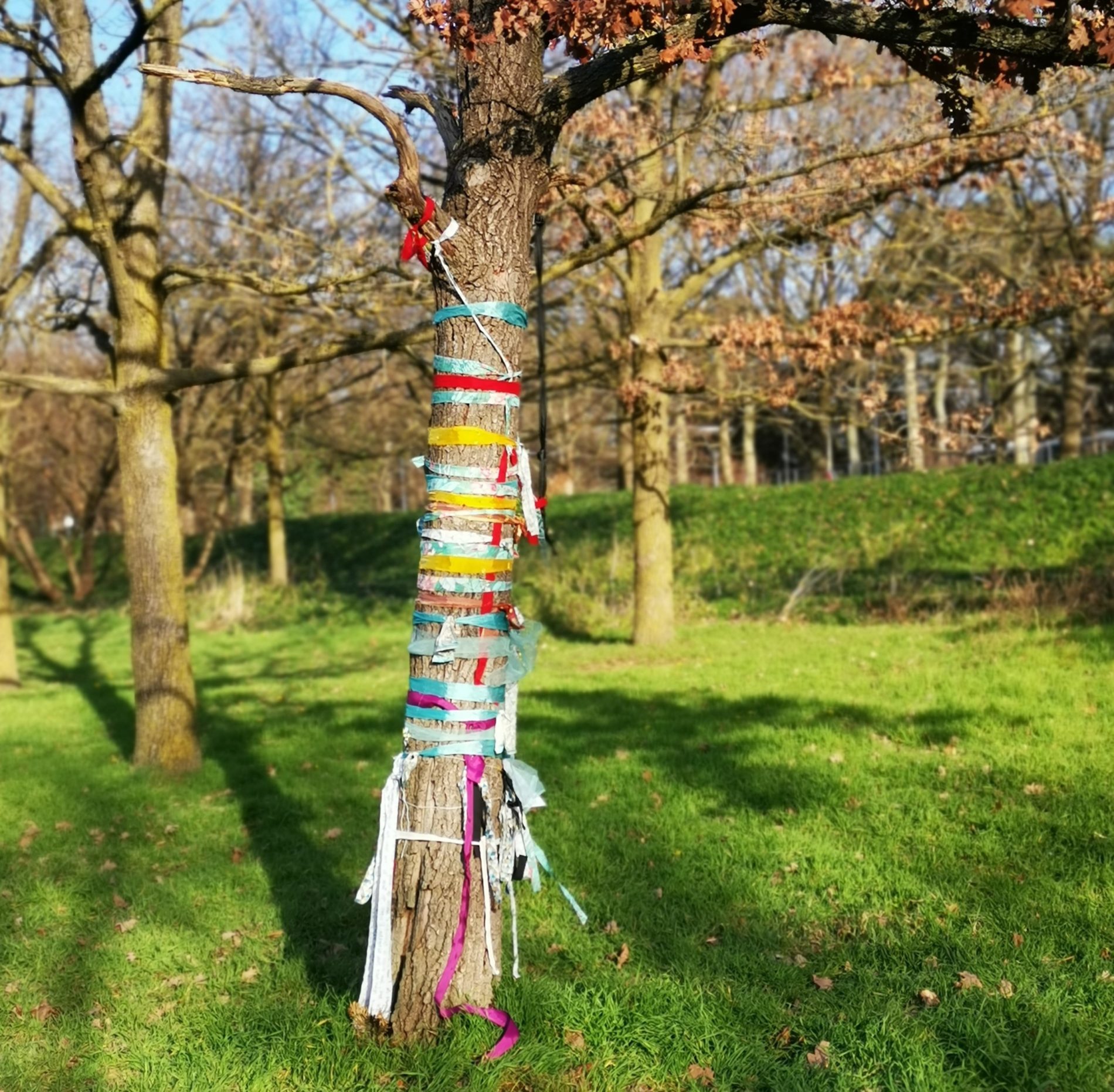 L’Arbre à Prières