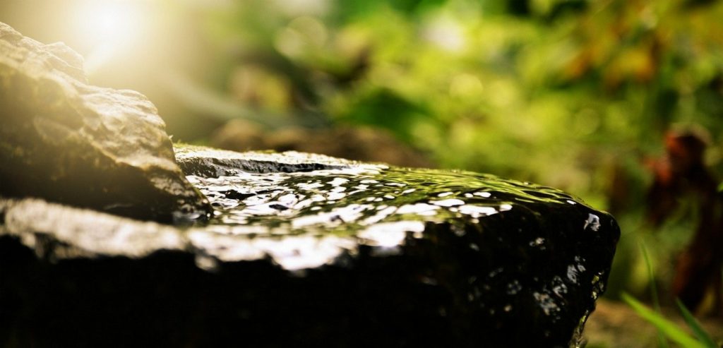 ENERGETICIENNE A LYON