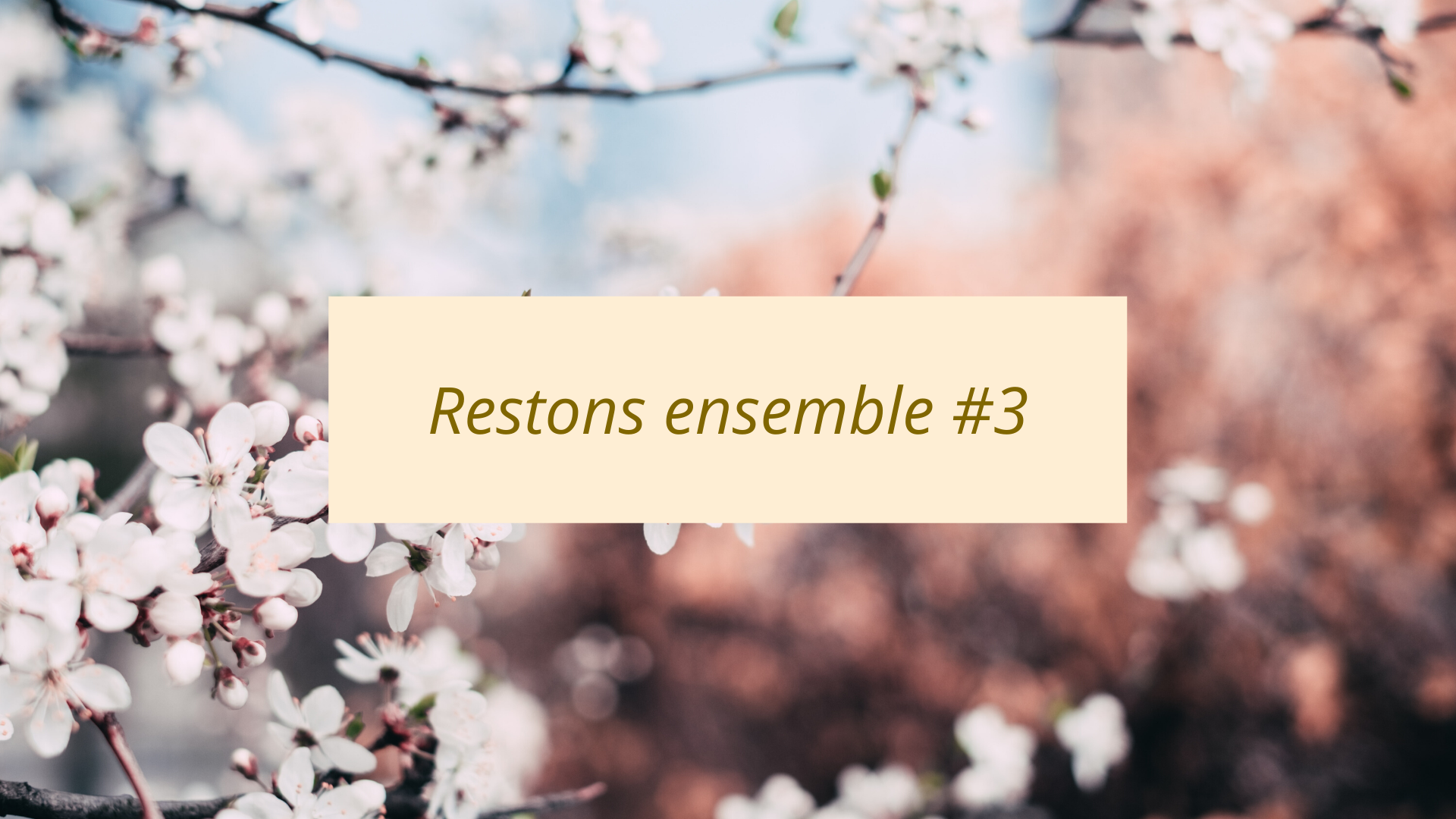 Mes Fleurs D’Energie & Le Confinement #3