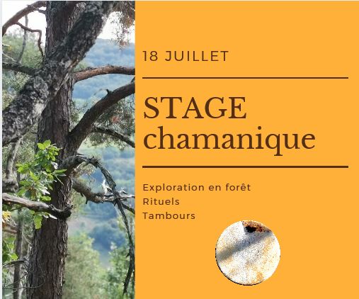 stage chamanique