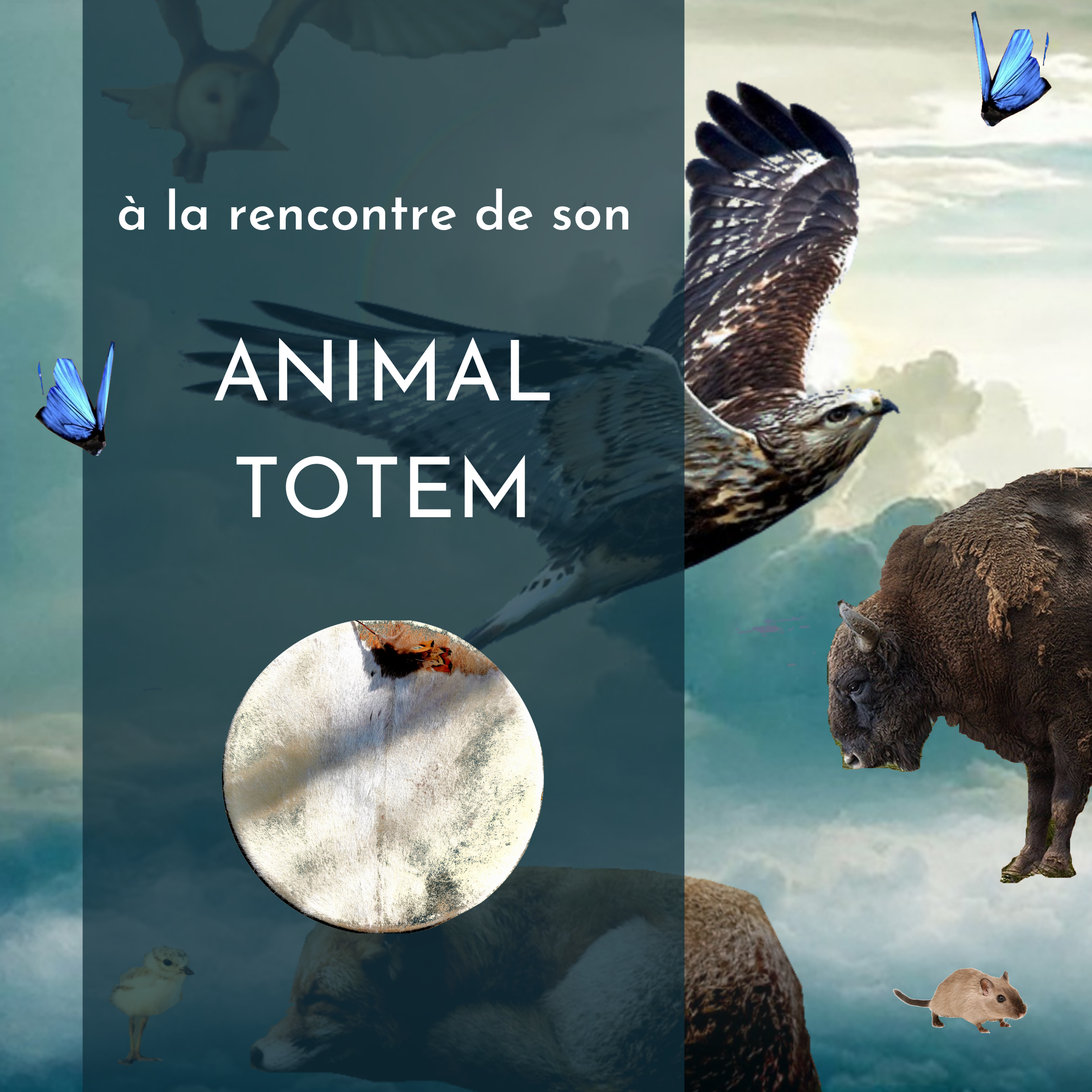 Stage Animal Totem – 8 Au 10 Avril 22