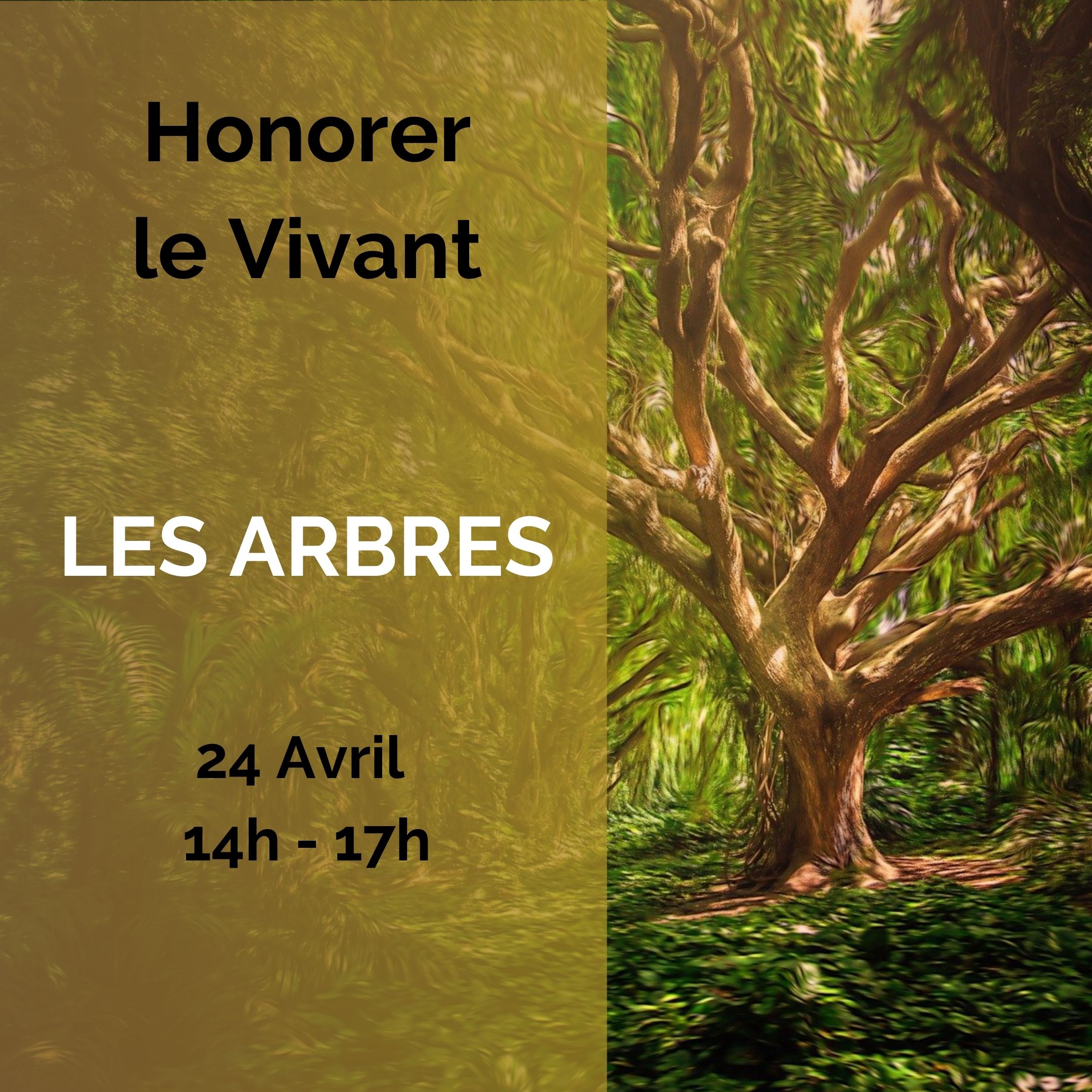Honorer Le Vivant – Atelier Hypnose Et Chamanisme