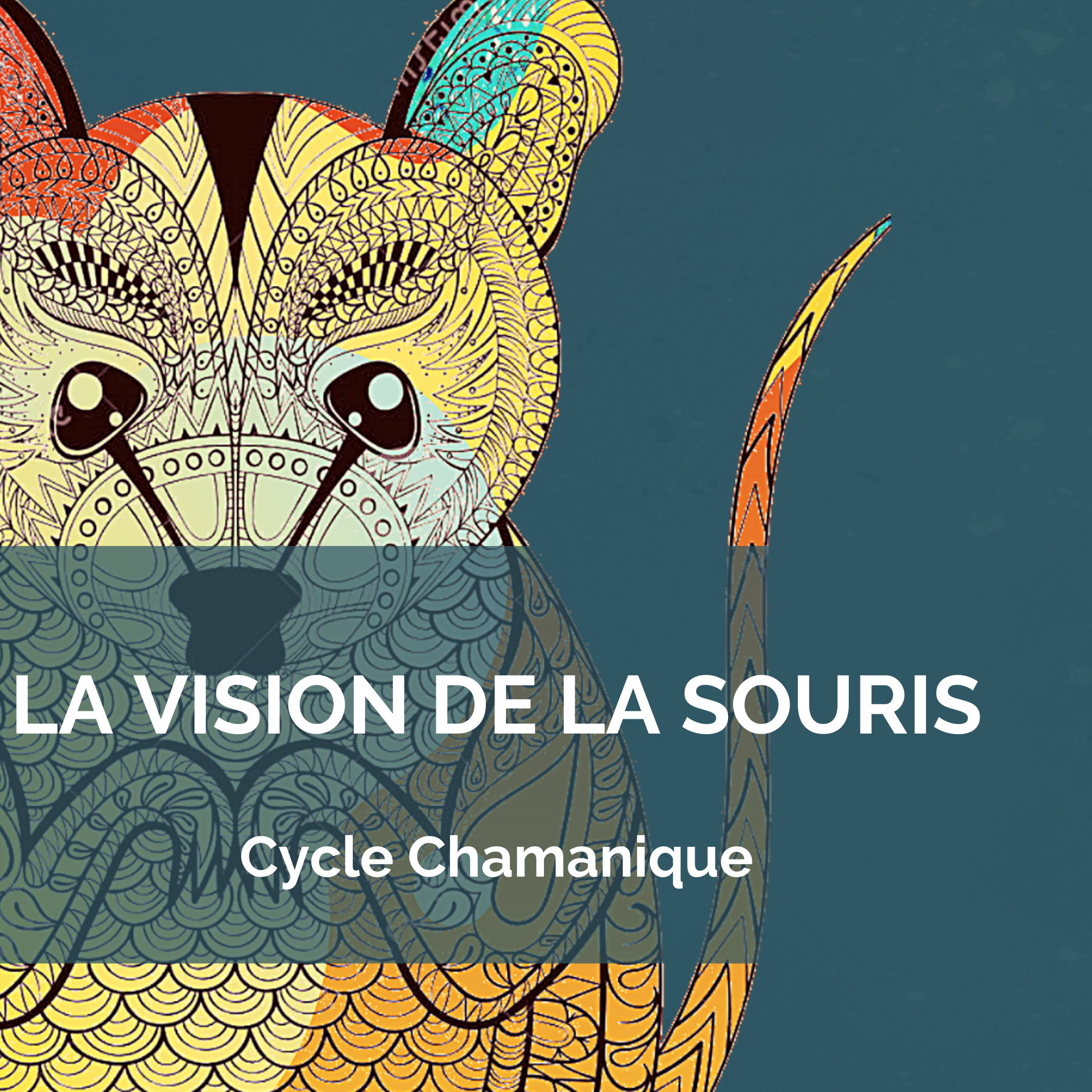 Cycle Chamanique De La Vision De La Souris – Le 15 Juin 22