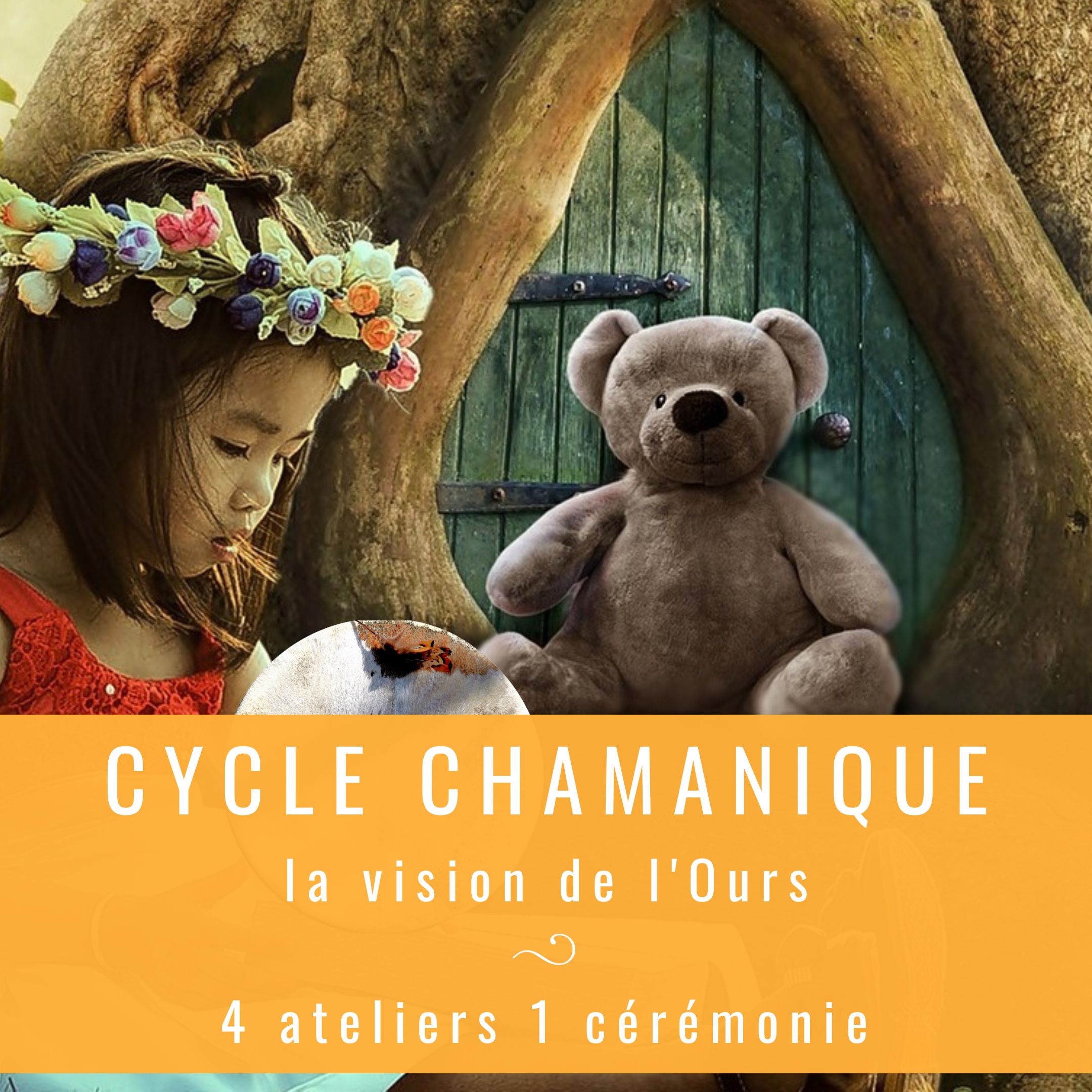 Cycle Chamanique – Vision De L’Ours – à Partir Du 21 Septembre 22