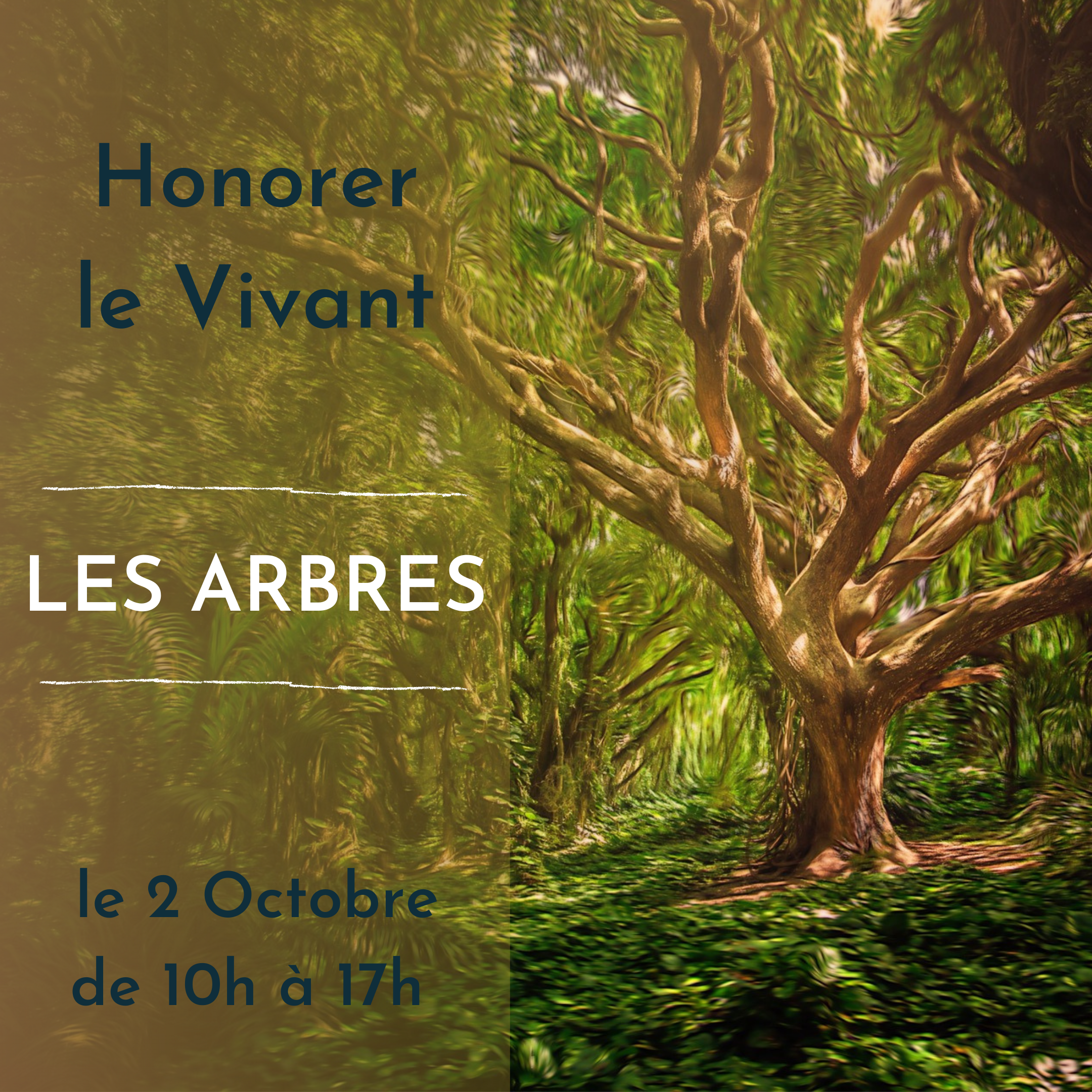 Honorer Le Vivant – Les Arbres