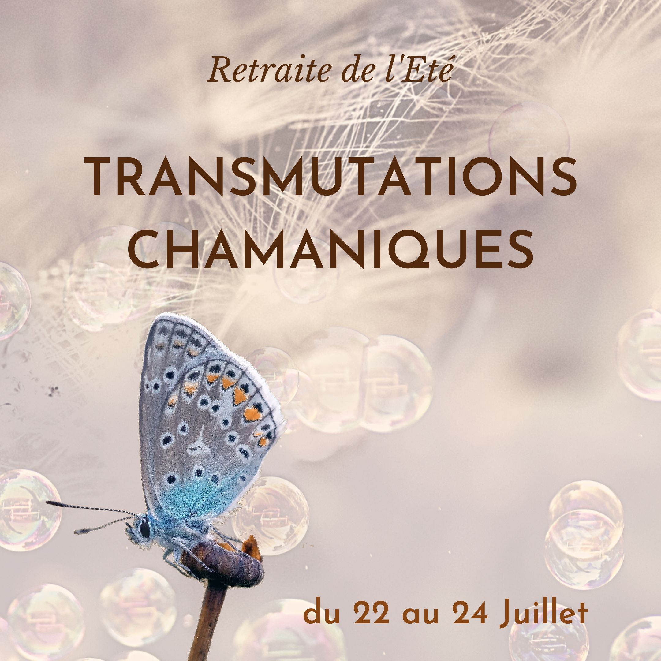 Transmutations Chamaniques – Du 22 Au 24 Juillet 22