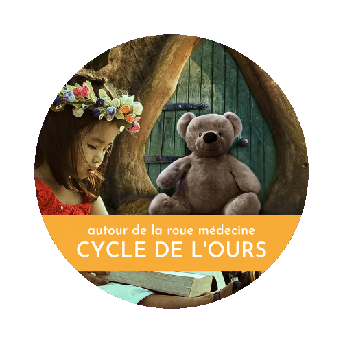 cycle de l'Ours