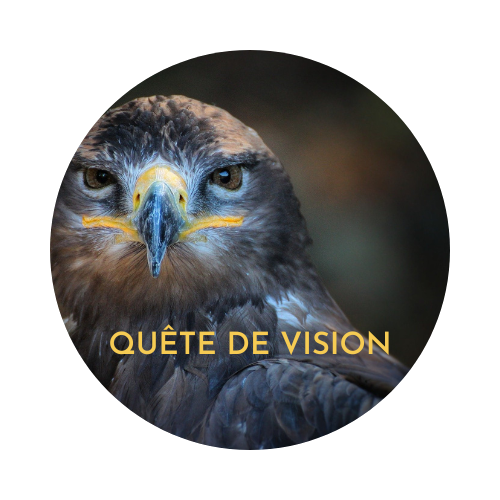 quête de vision