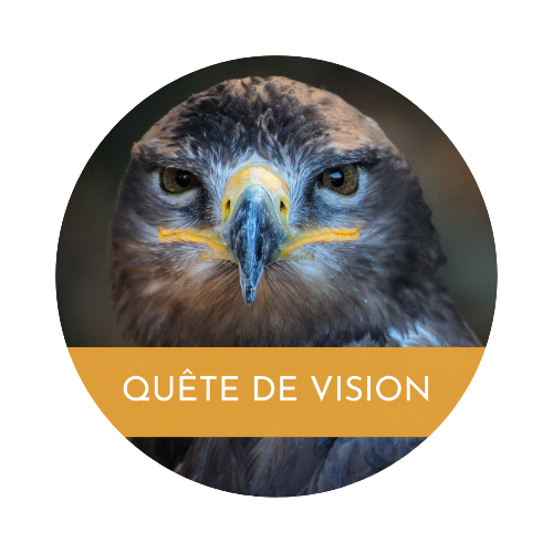 quête de vision
