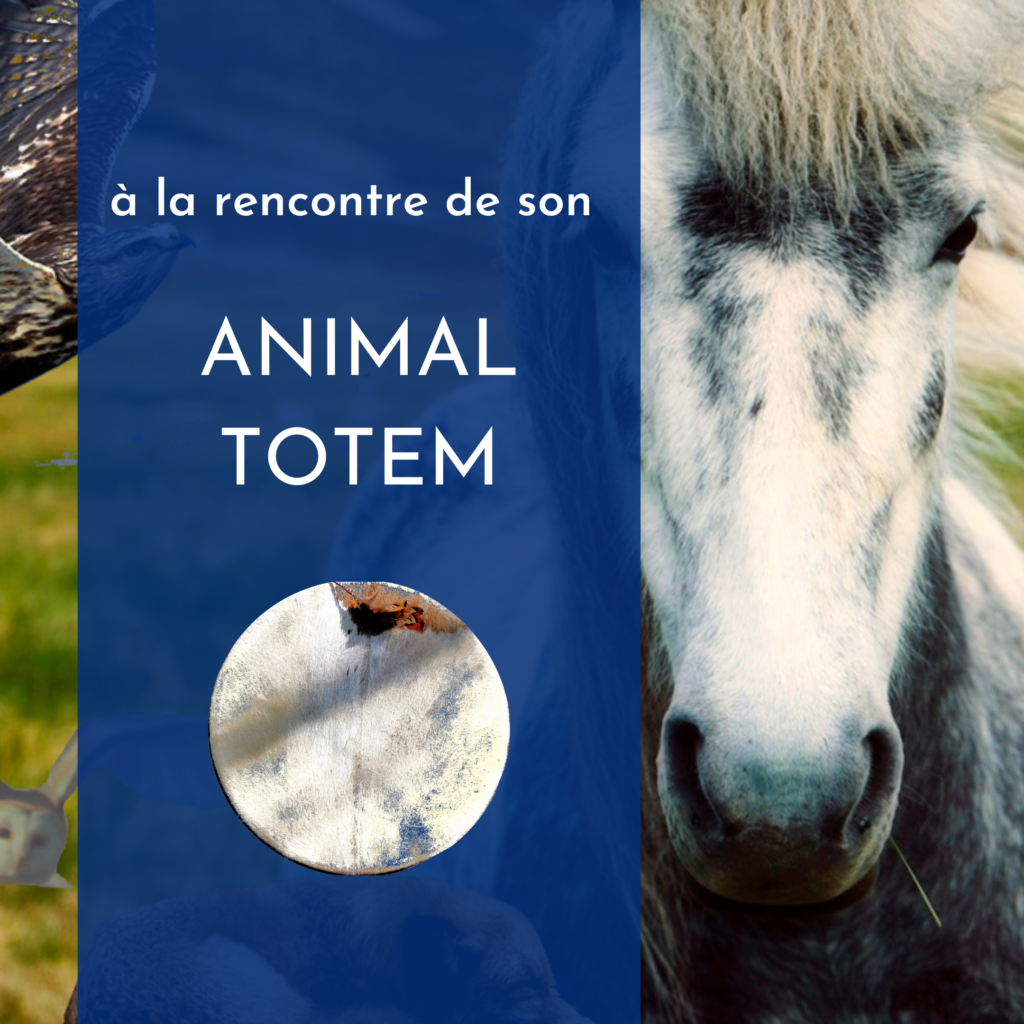 Stage Animal Totem – 29 mars au 1er avril 24