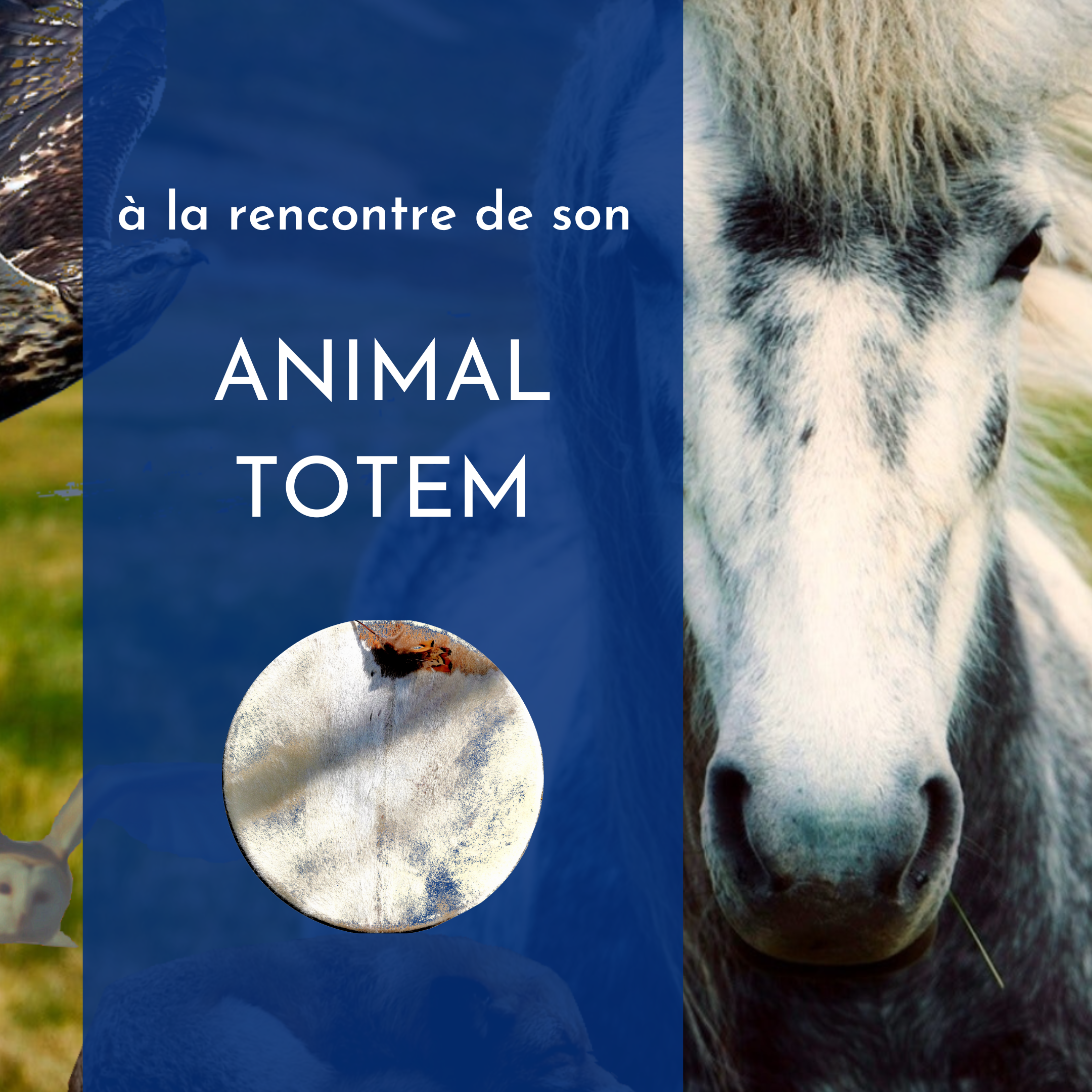 Stage Animal Totem – 29 Mars Au 1er Avril 24